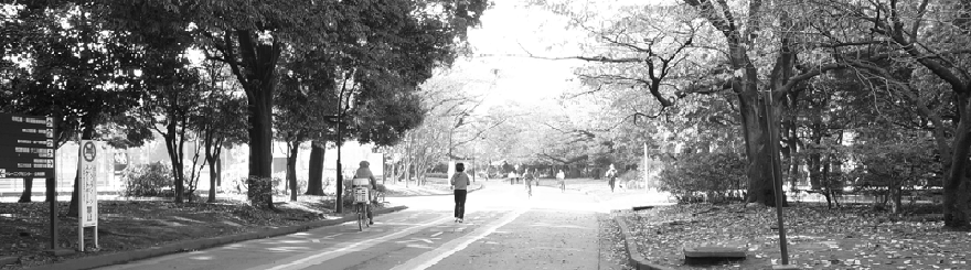 top_20100129